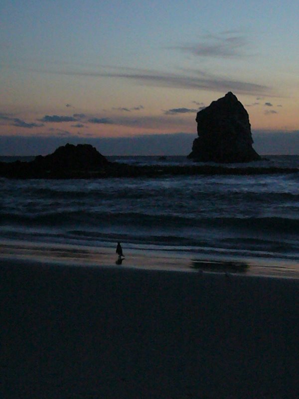 Sandfly Bay, Dunedin